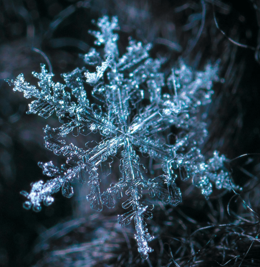 Wim Hof Breathing + Cold Showers: The Bold (but Worth It) Morning&nbsp;Reset